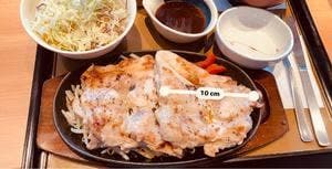 やよい軒 岩槻南平野店