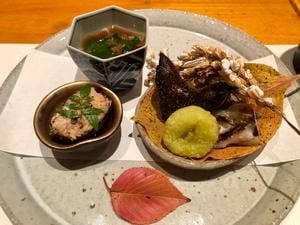 やまぼうし