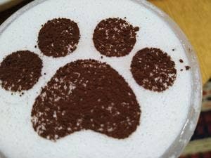 パステルダイニング マルイ海老名店