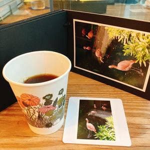 Chair COFFEE ROASTERS