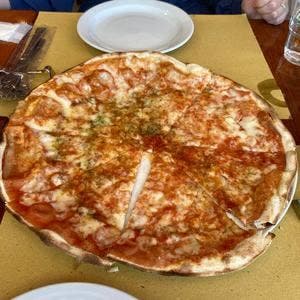 PAPPAGALLO