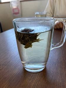 パティ シノワ フジカワ