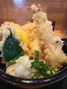 情熱うどん わらく