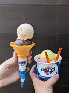 ブルーシール 京都新京極店