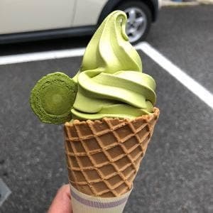 高田通泉園