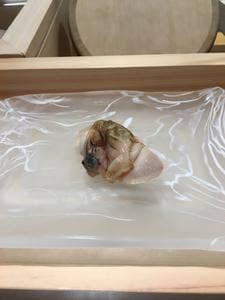 祇園廣見 鮨 香