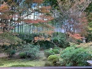 宝泉院