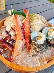 WILD MAGIC -The Rainbow Farm-