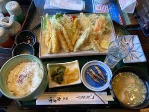 網元 おおば