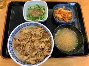 吉野家170号線富田林店