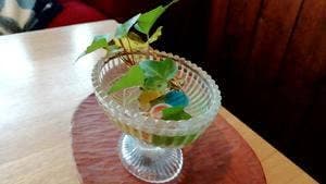 おうちごはんカフェ 豆花