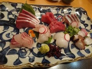 旬魚 旬菜 小料理 藤