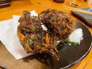 瀬戸海人