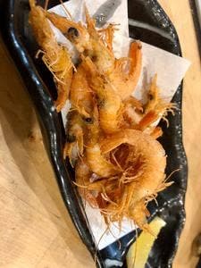 明石の魚 嵜 ～SAKI～