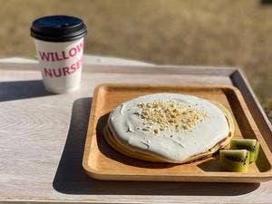 WILLOWS NURSERY