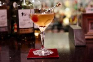 Bar Little Bird