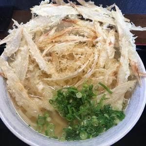練り込みうどん権