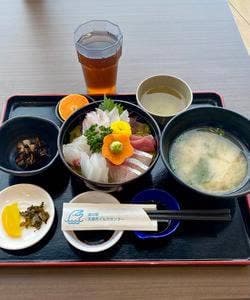 漁協レストラン 道の駅 天草市イルカセンター