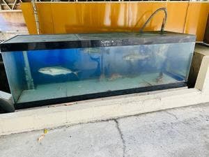 すし へんこつ屋