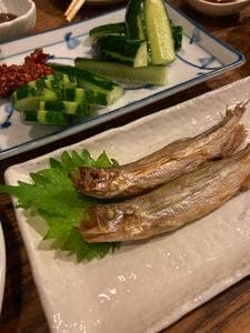鳥勢