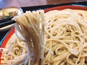 蕎蔵兎月
