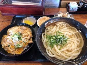 みの屋うどん本店