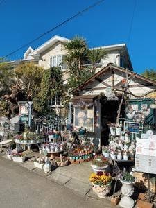 Sunny Place Cafe