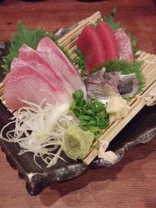 酒肴 wasabi ワサビ