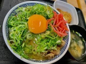 吉野家 ぐみの木店