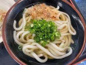 くうかいうどん 今店