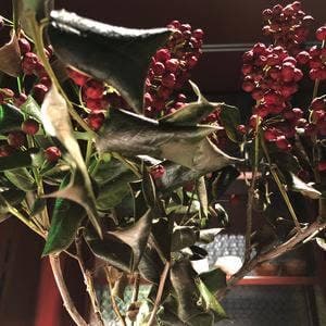 tea & library bar 青淵-Ao-