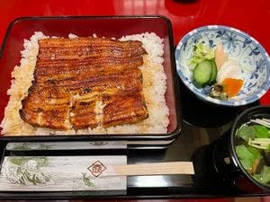 うなぎ割烹 大江戸
