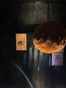 炭火焼鳥 樫