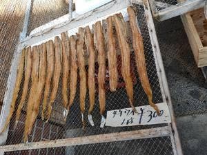 魚竹