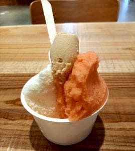 ソンニャーレ