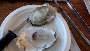 鏡オイスターハウス