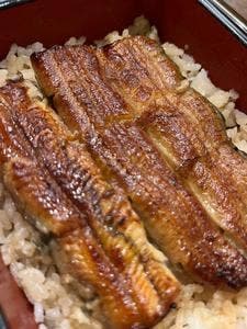 蒲焼 割烹 根ぎし 宮川