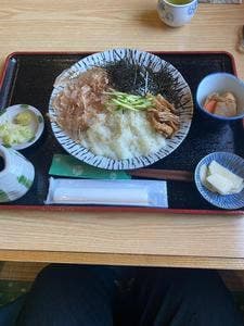 もりの樹