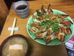 まぐろやの食堂 海路