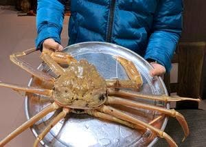 こう屋旅館