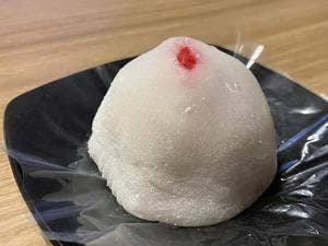 まるに抱き柏