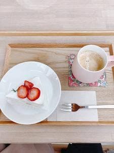 CAKE NATURE ASHIYA