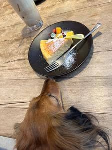 美食同源 CAFE KEATS