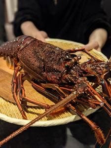 伊勢海老鍋いろは 北新地