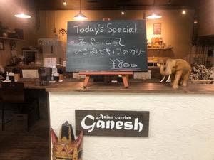 Asian Curries Ganesh