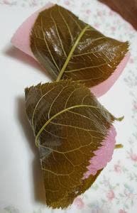 御菓子司 田中屋本店
