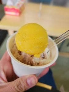 島のアイスクリーム屋『トリトン』