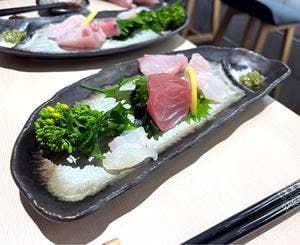 四季の日本酒と鶏と肴わしゅまる
