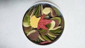 shodai bio nature 飯倉本店