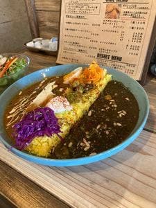 APOLLN CURRY